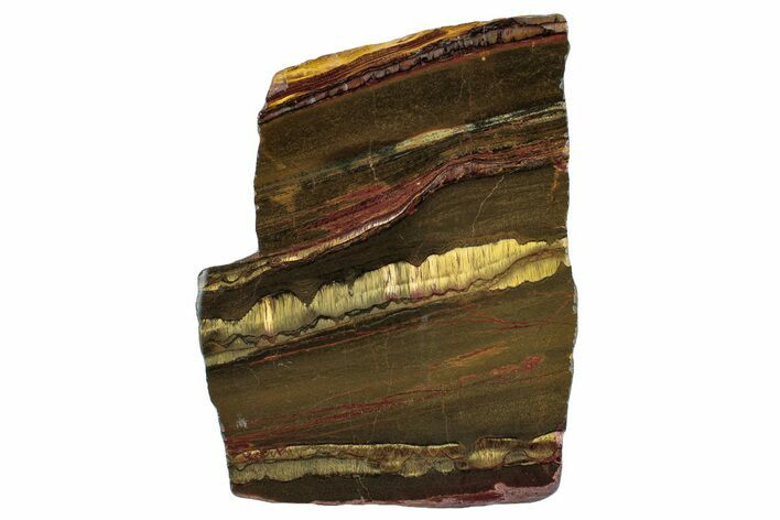 Polished Packsaddle Tiger Eye Slab - Western Australia #260878